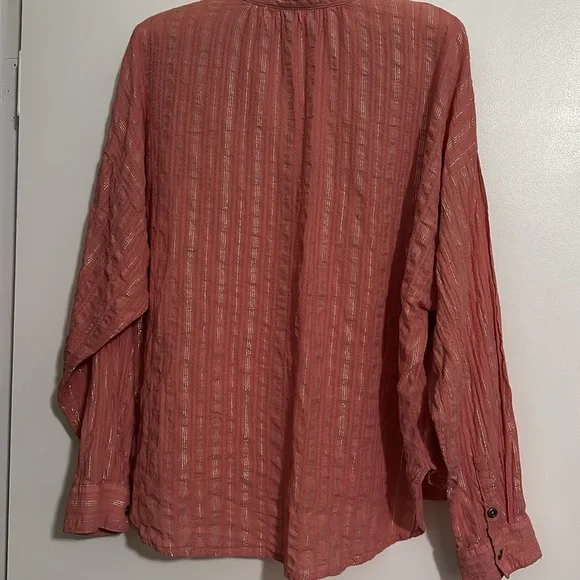 Anthropologie Pilcro Tavi Button Down Shirt VGUC - Picture 4 of 11